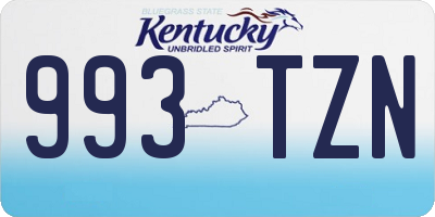 KY license plate 993TZN