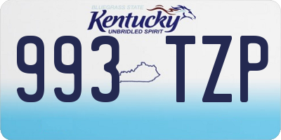 KY license plate 993TZP
