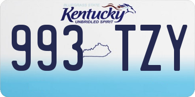 KY license plate 993TZY