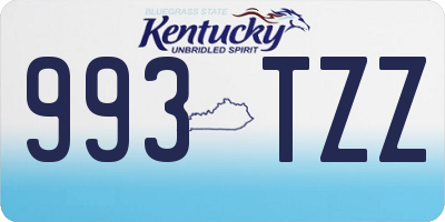KY license plate 993TZZ