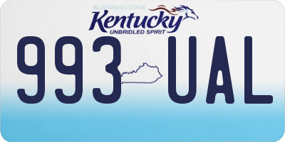 KY license plate 993UAL