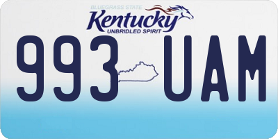 KY license plate 993UAM