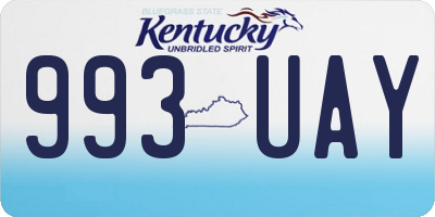 KY license plate 993UAY