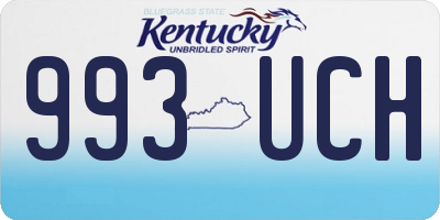 KY license plate 993UCH