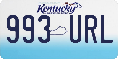 KY license plate 993URL