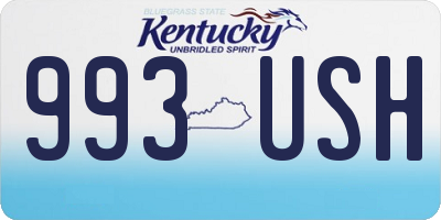 KY license plate 993USH