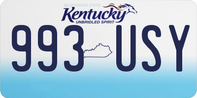 KY license plate 993USY