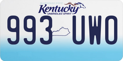 KY license plate 993UWO