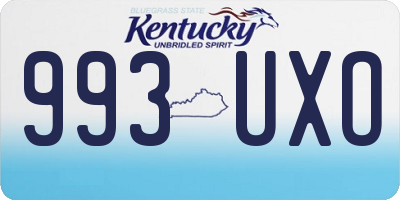 KY license plate 993UXO