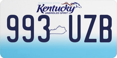 KY license plate 993UZB