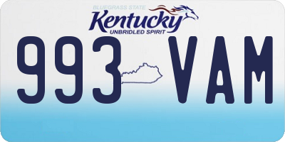 KY license plate 993VAM