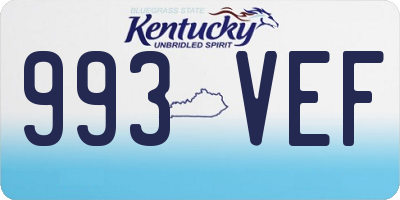 KY license plate 993VEF