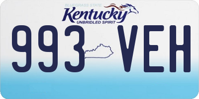 KY license plate 993VEH
