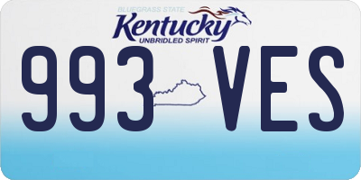 KY license plate 993VES