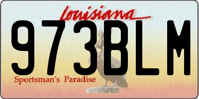 LA license plate 973BLM