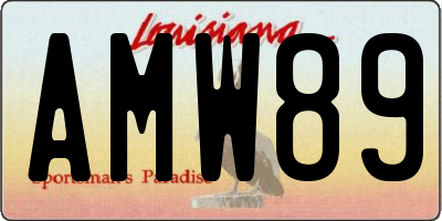 LA license plate AMW89