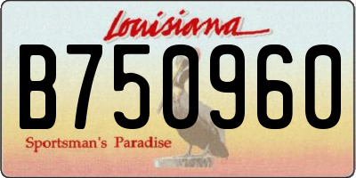 LA license plate B750960