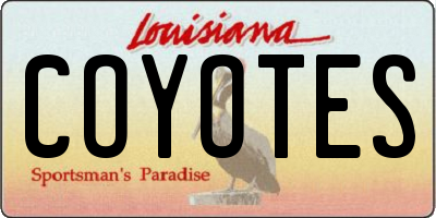 LA license plate COYOTES