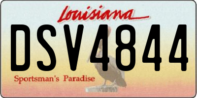 LA license plate DSV4844