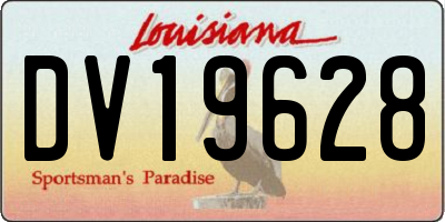 LA license plate DV19628