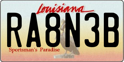 LA license plate RA8N3B