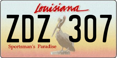 LA license plate ZDZ307
