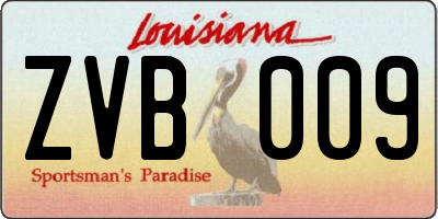 LA license plate ZVB009