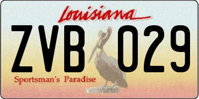 LA license plate ZVB029