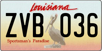 LA license plate ZVB036