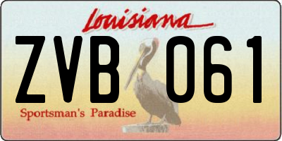 LA license plate ZVB061