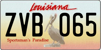LA license plate ZVB065