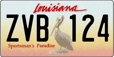LA license plate ZVB124