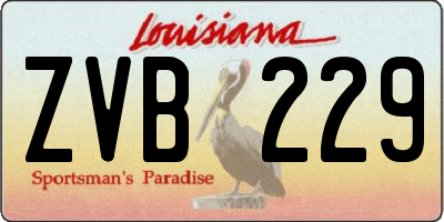 LA license plate ZVB229