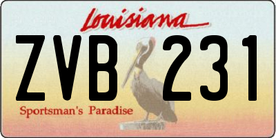 LA license plate ZVB231