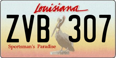 LA license plate ZVB307