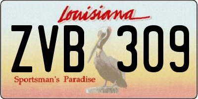 LA license plate ZVB309