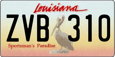 LA license plate ZVB310