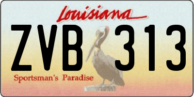 LA license plate ZVB313