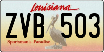 LA license plate ZVB503