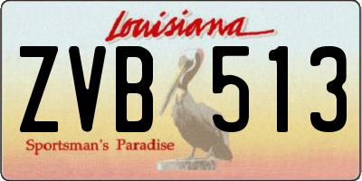 LA license plate ZVB513