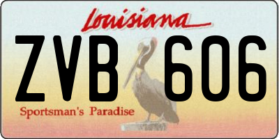 LA license plate ZVB606