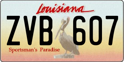 LA license plate ZVB607