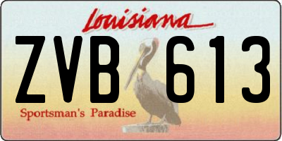 LA license plate ZVB613