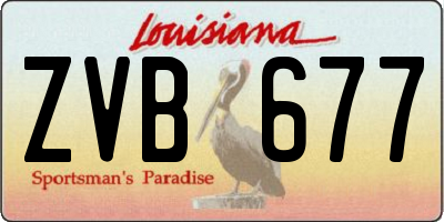 LA license plate ZVB677