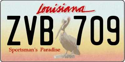 LA license plate ZVB709