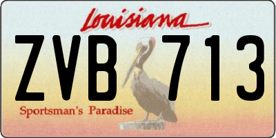 LA license plate ZVB713