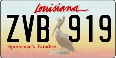 LA license plate ZVB919