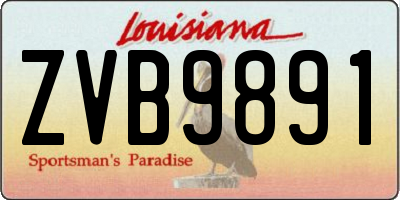 LA license plate ZVB9891