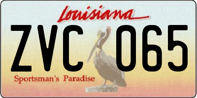 LA license plate ZVC065
