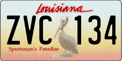 LA license plate ZVC134